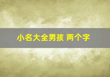 小名大全男孩 两个字